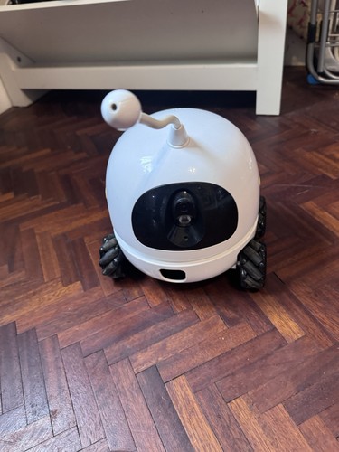 Rocki smart pet camera - pet,