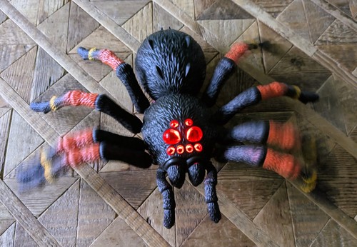 Robo alive giant tarantula - robo,