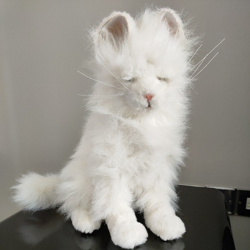 Faulty robotic cat - faulty, companion