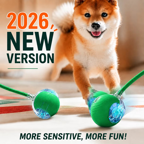 Automatic rolling dog cat ball - automatic,