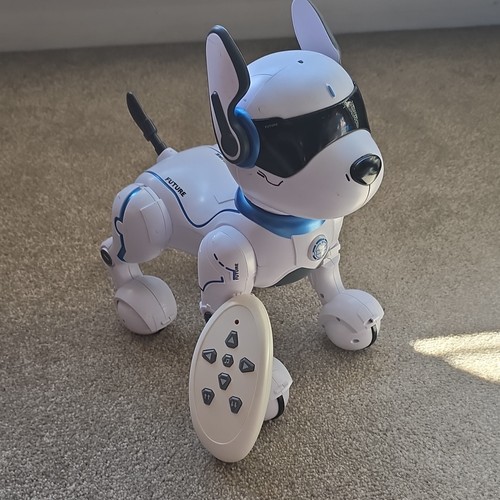 Future electronic robot - robot, dog