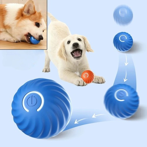 Smart dog toy ball - toy, usb