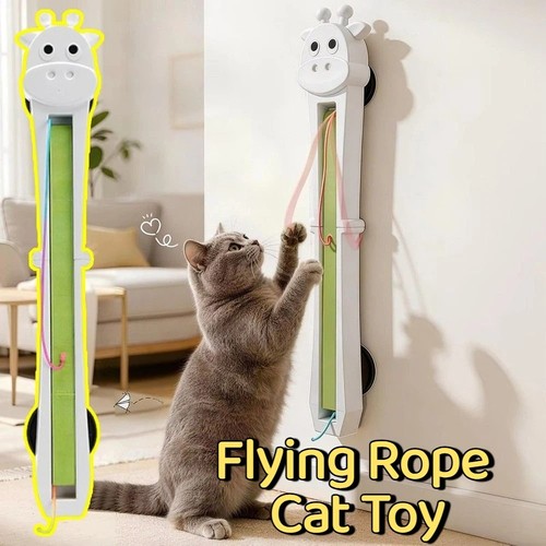 Electric cat teaser wall - electric,