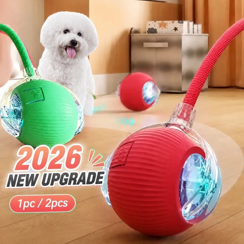 Automatic dog ball - automatic,