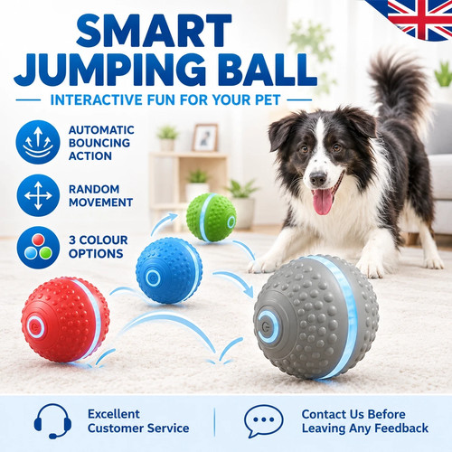 New smart interactive - smart, dog