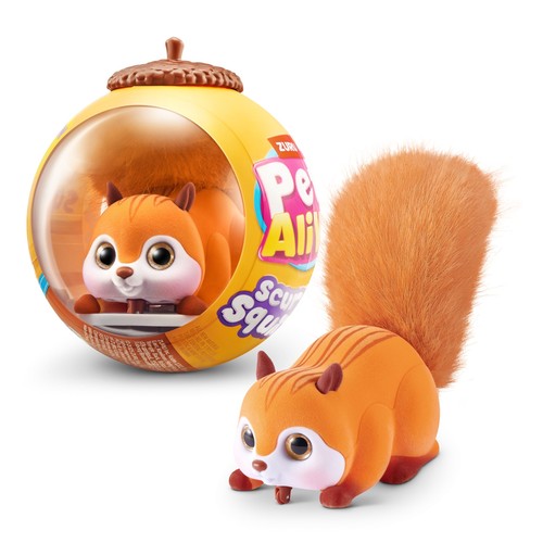 Pets alive scurry squirrel - alive,