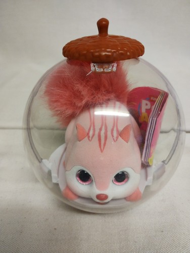 Pets alive scurry squirrel - scurry, n