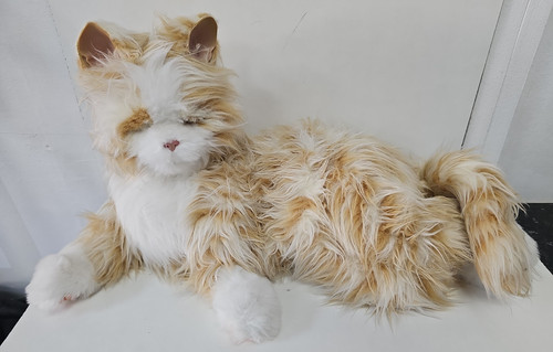 Joy for all robotic cat - all,