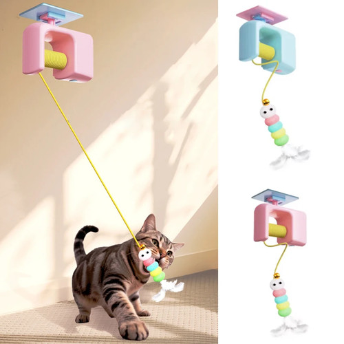 Cats toys pet - cats,