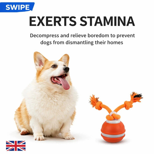 Smart automatic dog ball - automatic,