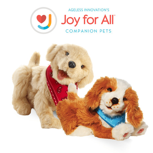 Joy for all robotic - joy,