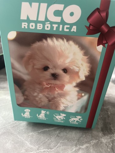 Nico electric puppy - nico, adorable